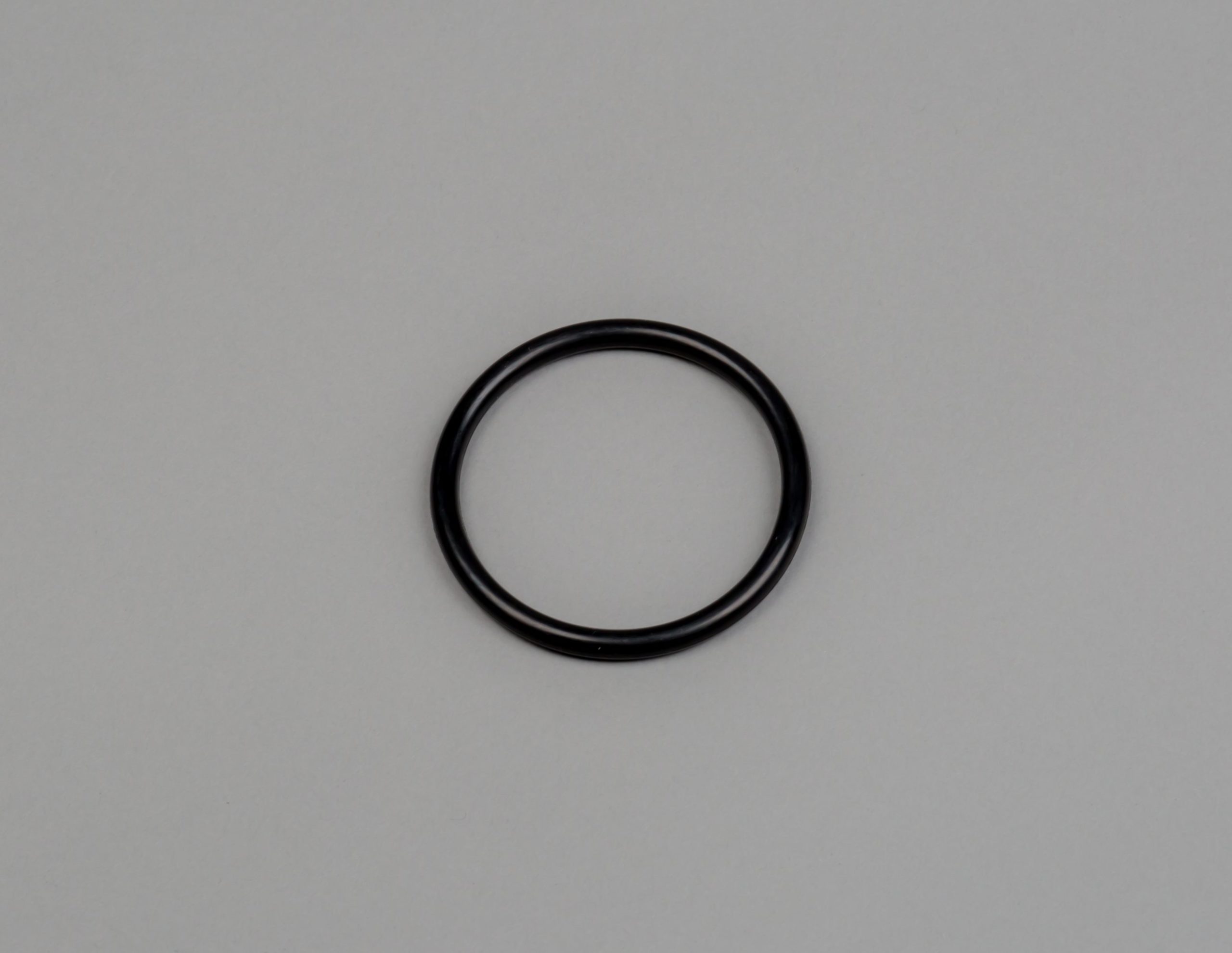 O-ring for Prominent sensorholder
